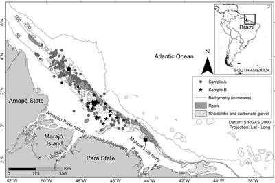 New Insight Into the Reproductive Biology and Catch of Juveniles of the Lutjanus purpureus in a Portion of the Great Amazon Reef System Off the Northern Brazilian Coast